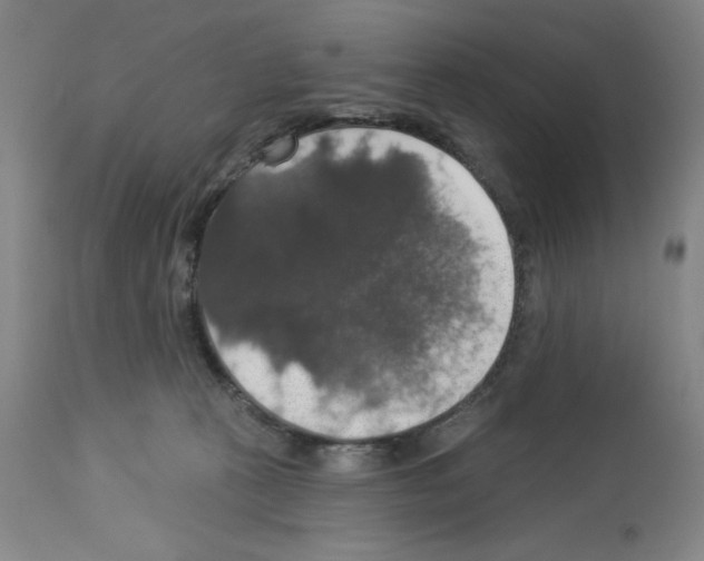 X0000112910273200910051051