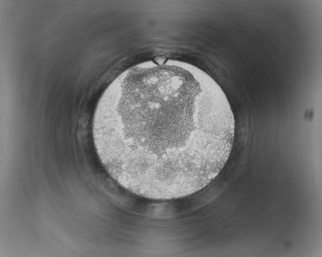 X0000112910275200910051051