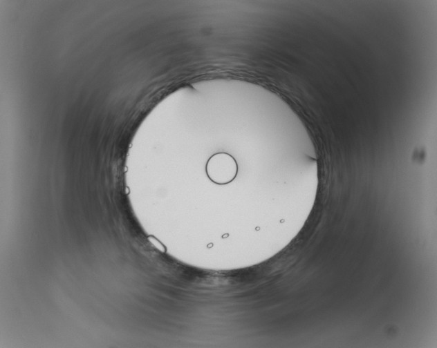 X0000112910276200910051051