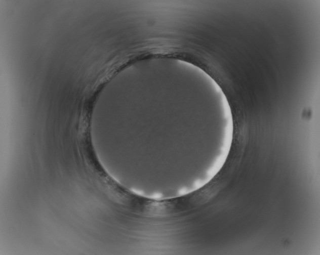 X0000112910277200910051051