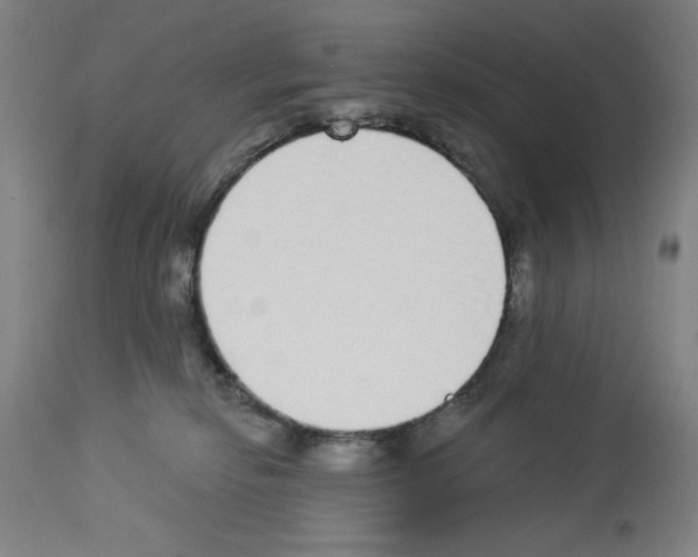 X0000112910278200910051051
