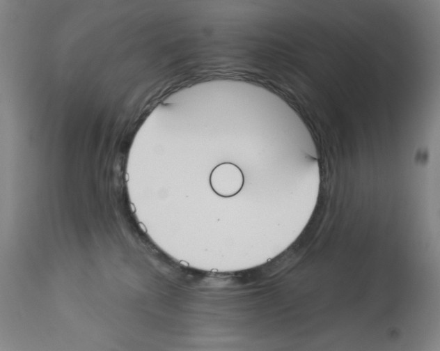 X0000112910280200910051051