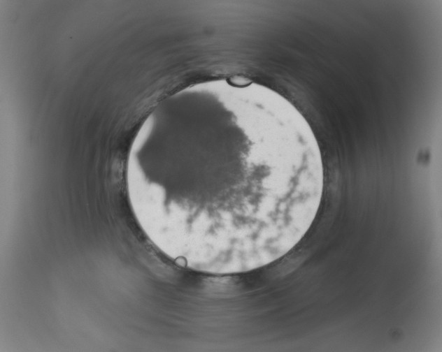 X0000112910281200910051051