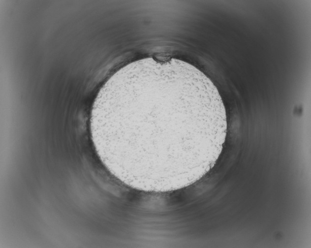 X0000112910282200910051051