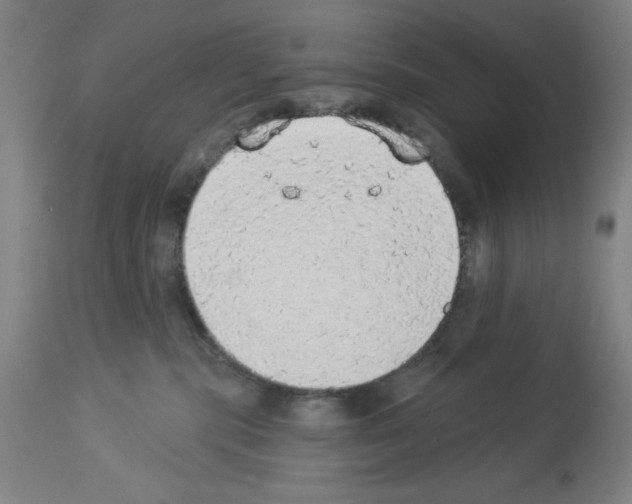 X0000112910283200910051051