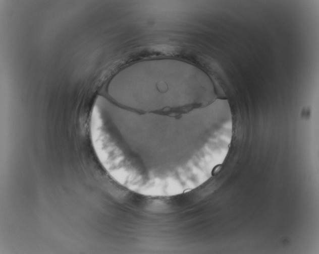 X0000112910285200910051051
