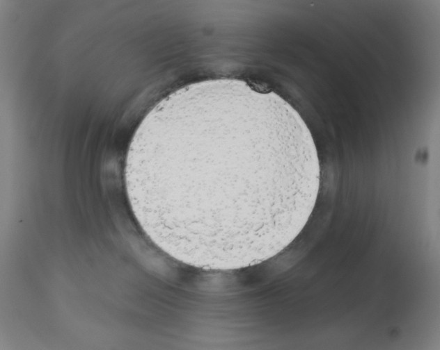 X0000112910286200910051051