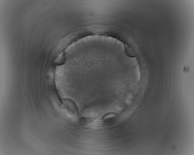 X0000112910288200910051051