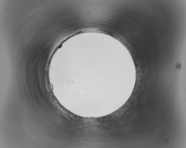 X0000112910289200910051050