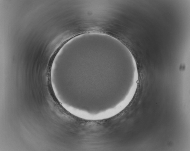 X0000112910290200910051050