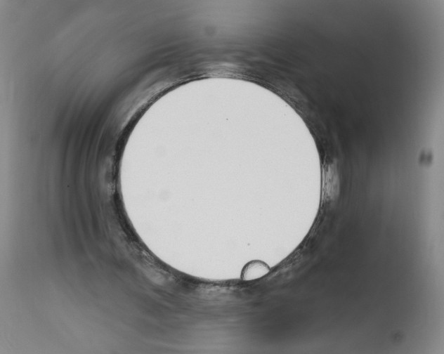 X0000112910291200910051050
