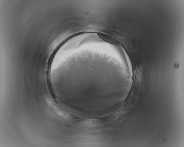 X0000112910292200910051050