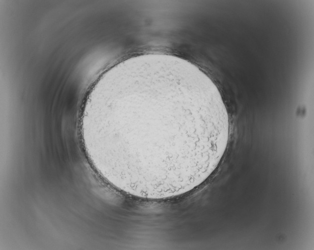 X0000112910293200910051050
