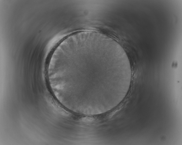 X0000112910294200910051050