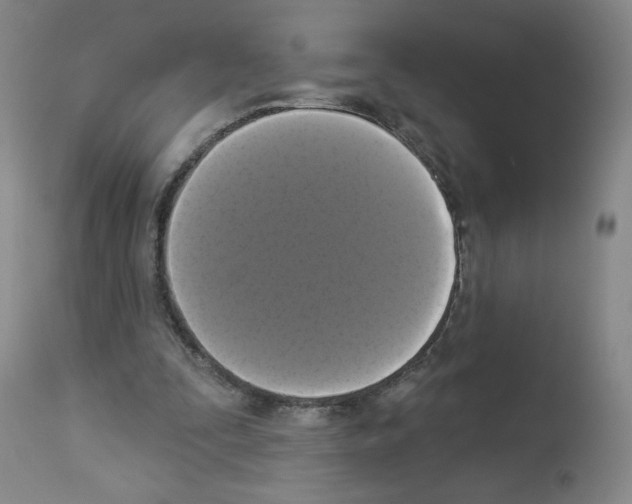 X0000112910295200910051050