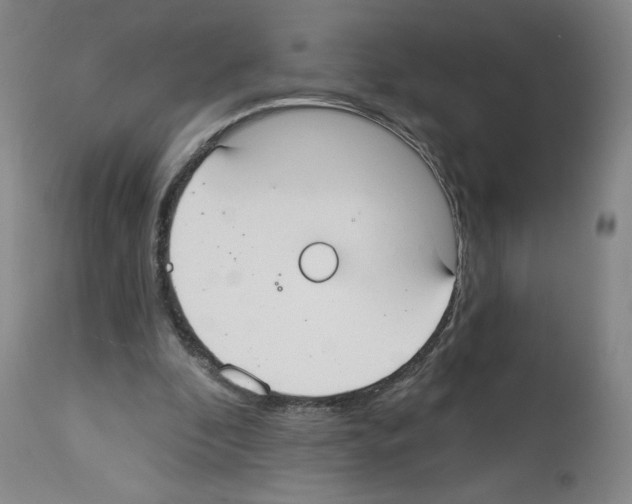 X0000112910296200910051050