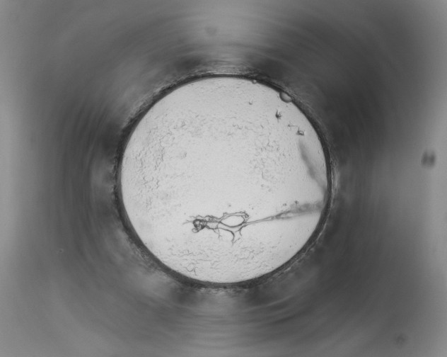 X0000112910297200910051050