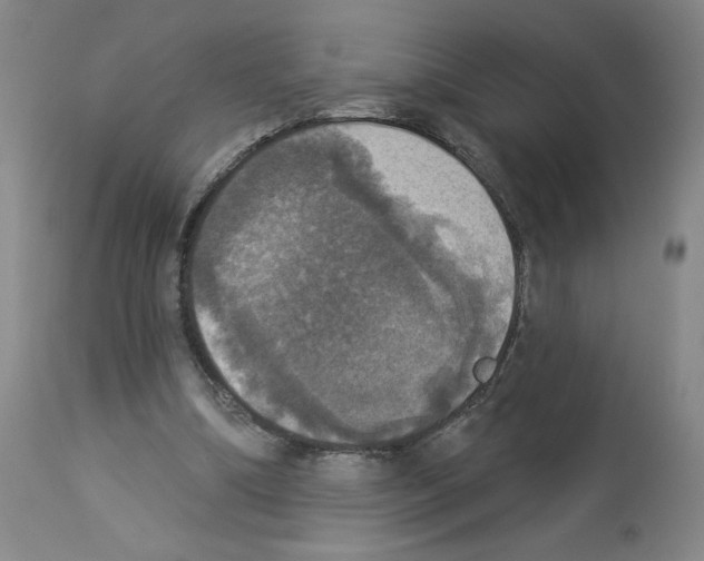 X0000112910298200910051050