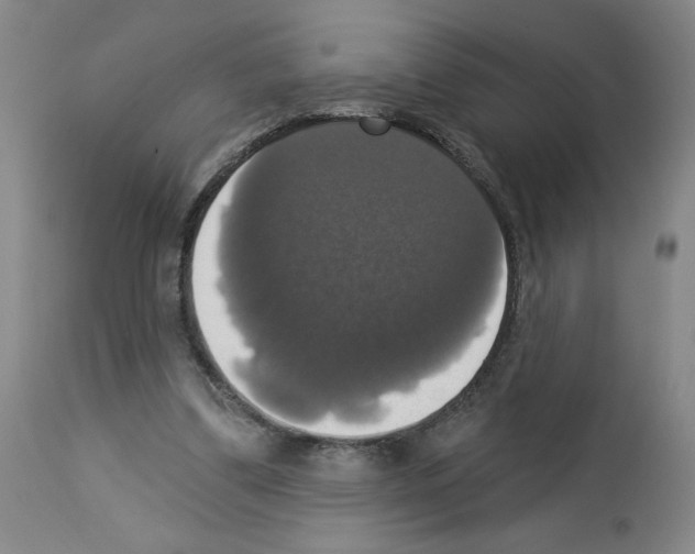 X0000112910299200910051050