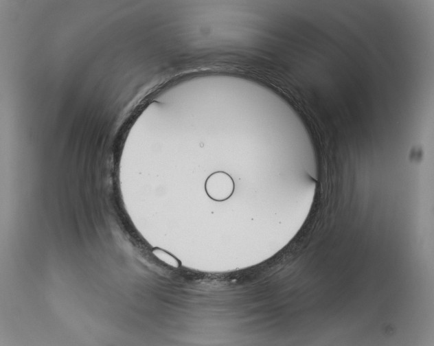 X0000112910300200910051050