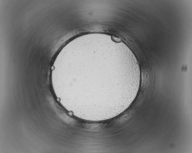 X0000112910301200910051050