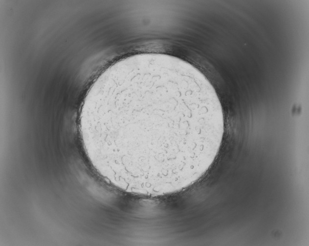 X0000112910302200910051050