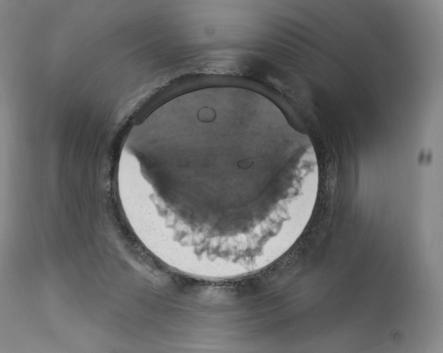 X0000112910303200910051050