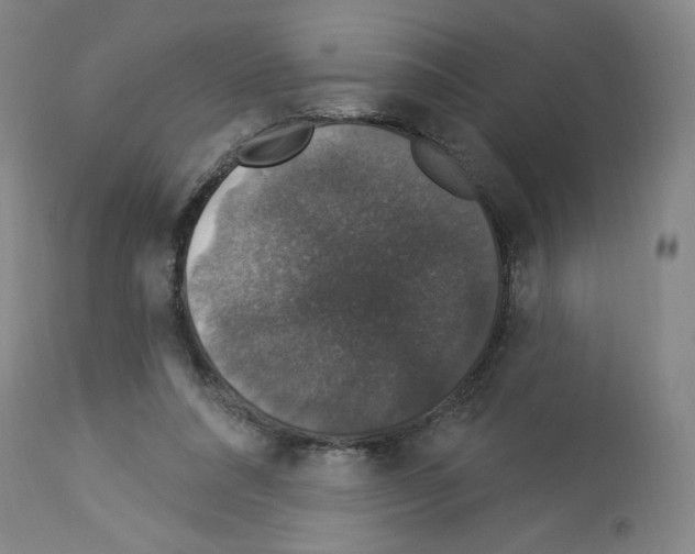 X0000112910304200910051050