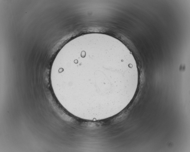 X0000112910305200910051050