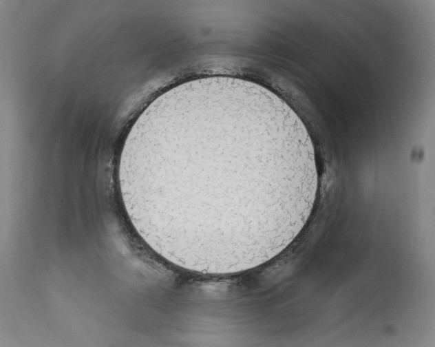 X0000112910306200910051050