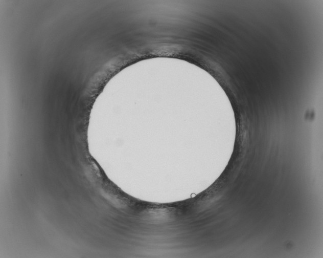 X0000112910307200910051050