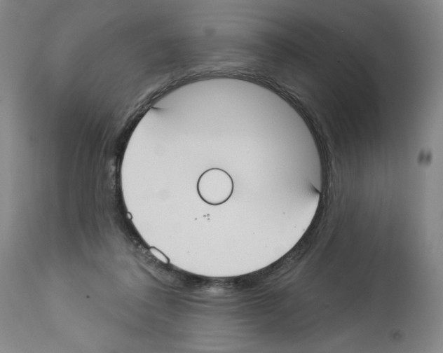 X0000112910308200910051050