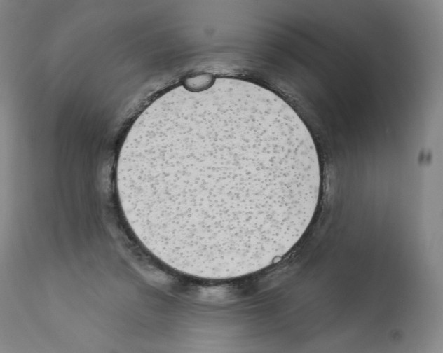 X0000112910309200910051050