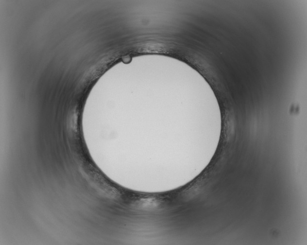 X0000112910310200910051050