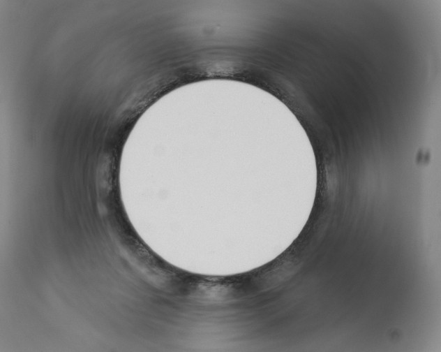 X0000112910311200910051050