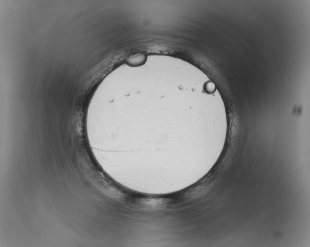 X0000112910313200910051050
