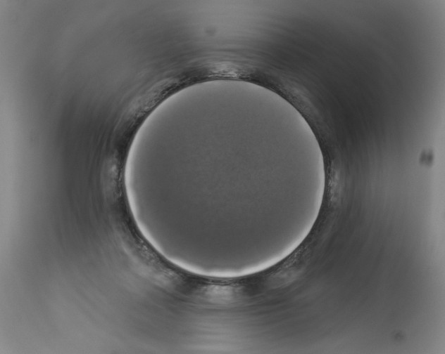 X0000112910314200910051050