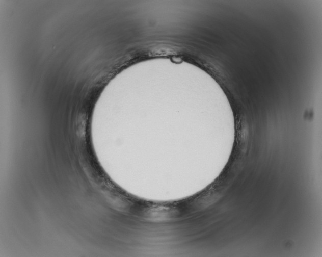 X0000112910315200910051050