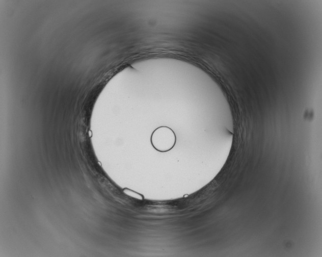 X0000112910316200910051049