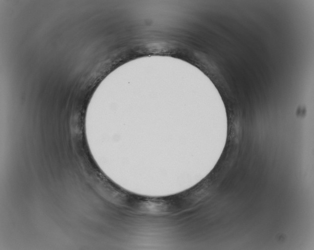 X0000112910317200910051049