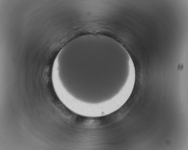 X0000112910319200910051049