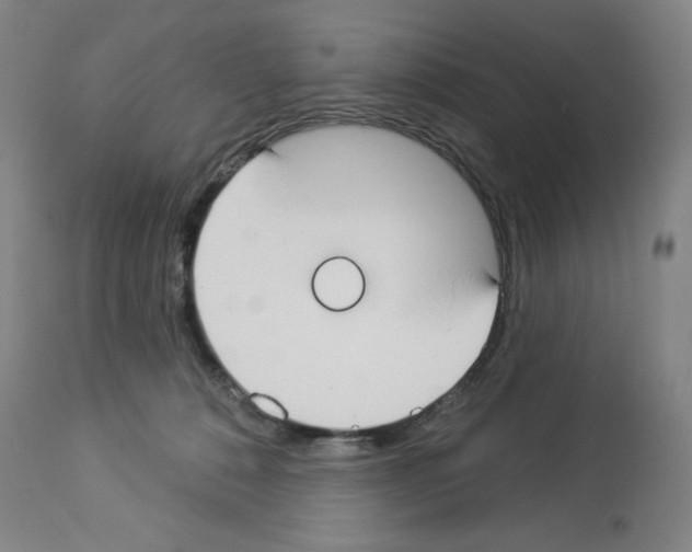 X0000112910320200910051049