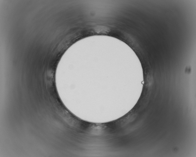X0000112910321200910051049