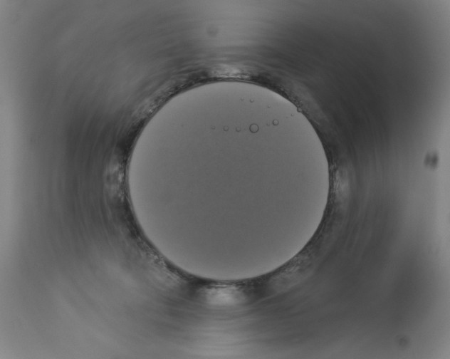 X0000112910322200910051049