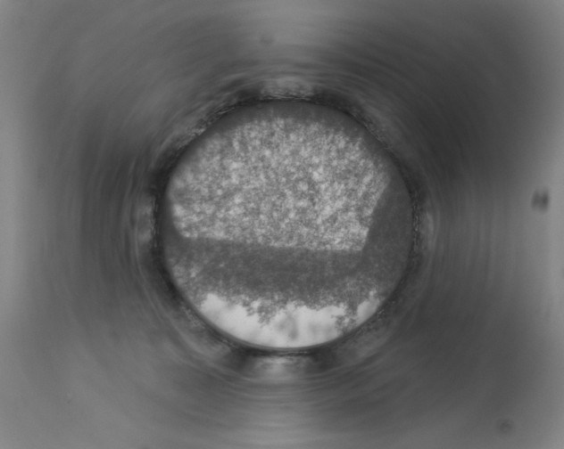 X0000112910323200910051049