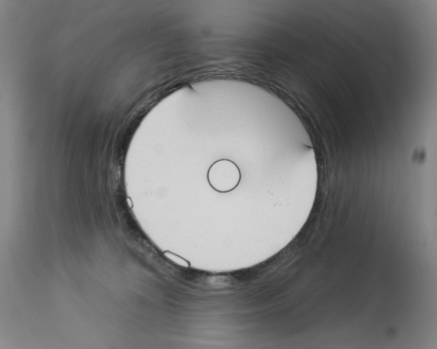 X0000112910324200910051049