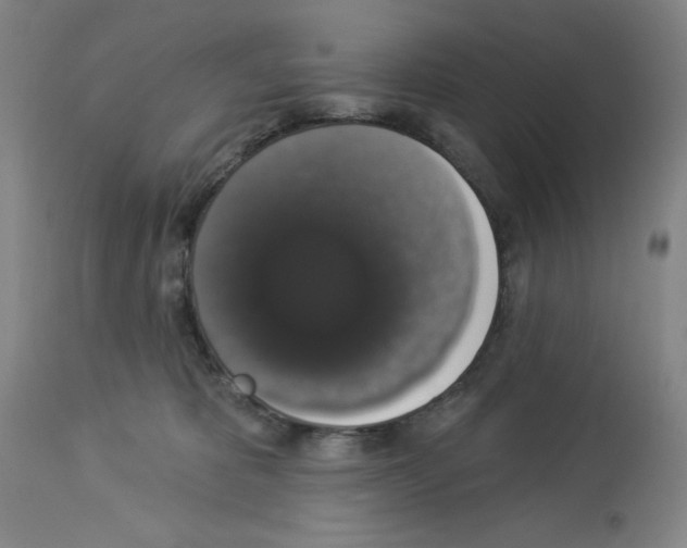 X0000112910325200910051049