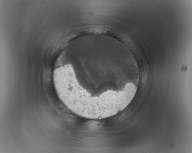X0000112910326200910051049