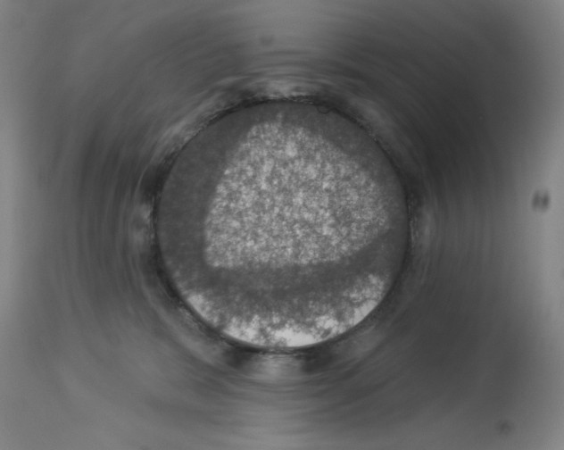X0000112910327200910051049