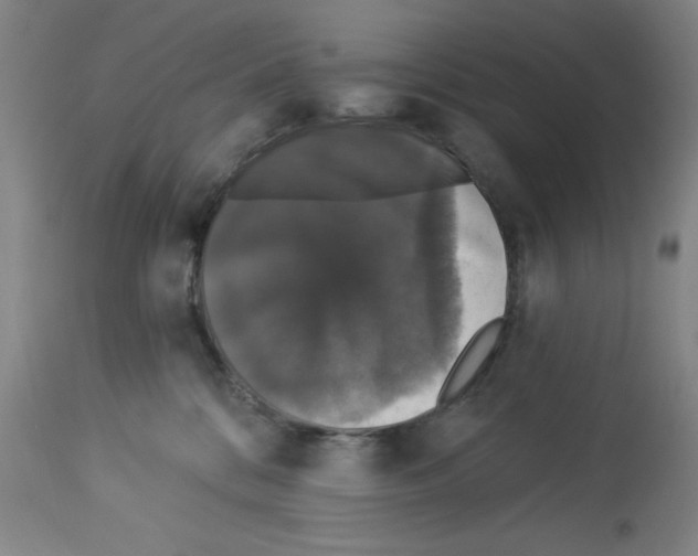 X0000112910328200910051049